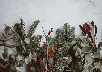 2018, An eventful year!