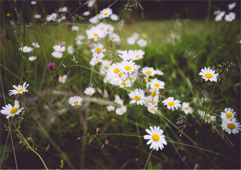 Safespring launches several new services